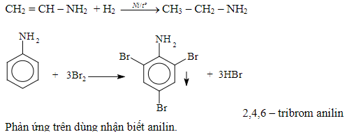 la amin